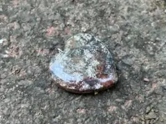 花紋石　ハート型ペンダントヘッド　錦石