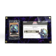 遊戯王　ブラックマジシャン　応募当選品　スペシャルイラスト　2500枚限定 適切な価格 遊戯王 ブラックマジシャン 応募当選品 スペシャル