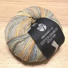 6417 Lana grossa　コットンバンブー　Sole Mix　春夏