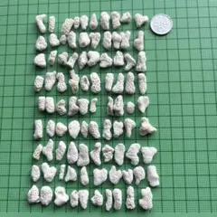 夏休みの工作に！サンゴのカケラ　小100個セット　珊瑚