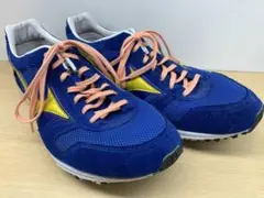 MIZUNO ウェーブクルーズ オーダーカラー