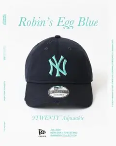 NEW ERA®*THE STAND 9TWENTY