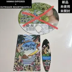 未使用品70sオリジナルhawaii ハワイ観光局プロモーションポスターワイキキ 未使用品70sオリジナルhawaii ハワイ観光局プロモーション