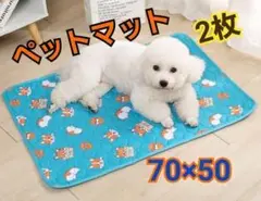 Item thumbnail for item 3f6ab1f5-0d8e-4210-b55c-2e6251352a45