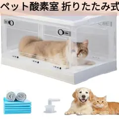 Item thumbnail for item 2af652bb-358a-467d-b06c-b10031111a0e