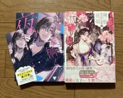 仕事ができない榊くんは夜だけ有能 神仙桃娘 宮廷の贄 TLコミック 女性漫画