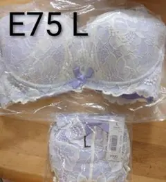 Item thumbnail for item 2ed5ed06-a2a8-4305-b494-cee626c23a63