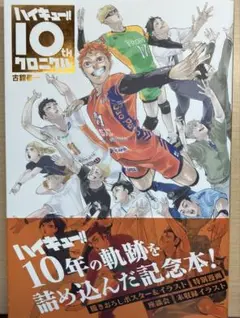 ハイキュー！！　10thクロニクル