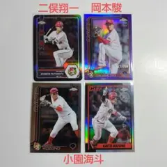 Item thumbnail for item ed5ec29c-611f-4aab-925f-36f52527c7ad