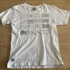 チャムス コットンTシャツ サイズS