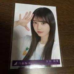 乃木坂46 矢田萌華 39th 封入 Same numbers 生写真 ヨリ