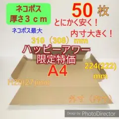 発送用　ネコポス最大サイズ 厚さ3㎝ 対応★ A4 ダンボール 箱 ★