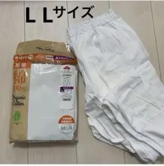 Item thumbnail for item 88f31a23-46a2-4461-be4b-2b139d0cae98