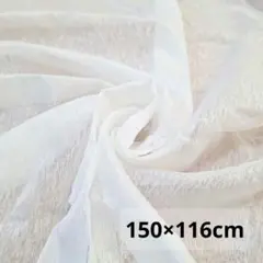Item thumbnail for item 097529fb-09ab-42ca-897e-ceeea4a1e147