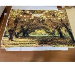 Item thumbnail for item b542abbb-f748-41f3-9b15-3f9185f127f5