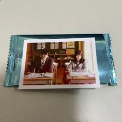 映画　隣のステラ　入場者プレゼント★