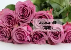 acosan様〈専用〉