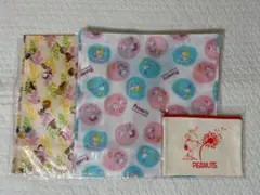 Item thumbnail for item 11c2356e-58f9-42ee-acf6-b0c420679362