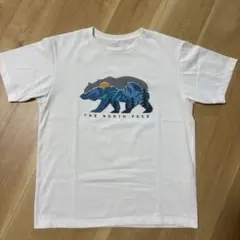 THE NORTH FACE ホワイト Tシャツ L