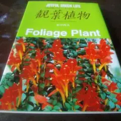 観葉植物 金川利夫