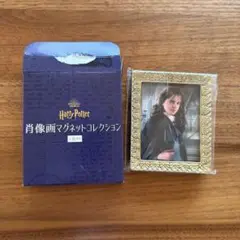 ハリーポッター 肖像画マグネット ハーマイオニー