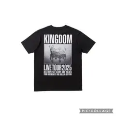 三代目JSB KINGDOM Crown Graphic Tシャツ(L)