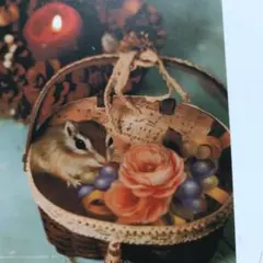 Item thumbnail for item 0ae16f45-12bc-451e-ab7b-c9b0a15b97db