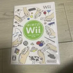 はじめてのwii wii