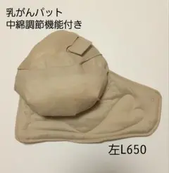 Item thumbnail for item 446a1c89-13a0-4cce-92e6-869bf65c83db