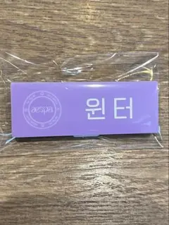 Smtown aespa ランダムネームバッジ　ウィンター