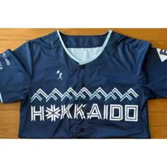ファイターズ WE LOVE HOKKAIDO&FIGHTERS ユニフォーム③