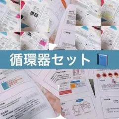 循環器4点セット