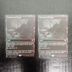 MTG 嵐削りの海岸 DBL-VOW　2枚