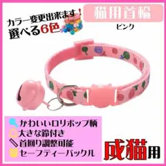 Item thumbnail for item d7b758de-e20c-4e16-bf24-227f479e331d