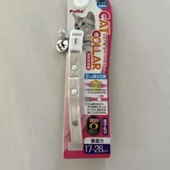 Item thumbnail for item 98e57e73-45b1-495a-bb8b-51b7bffe5de1