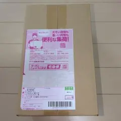 ポケモンカード　スペシャルBOX ポケモンセンタートウホク【新品未開封】