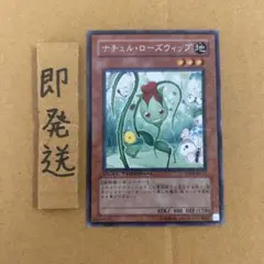 b548 ナチュルローズウィップ DT04 1枚