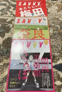SAVVY 3冊セット 梅田　奈良　美術館