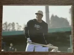 オリックス　ファンクラブ限定　フォト