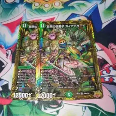 ガイアハザード　B　2枚
