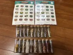 生薬　標本　一覧　80種　中井廣進堂　漢方　薬膳 生薬 標本 一覧 80種 中井廣進堂 漢方 薬膳
