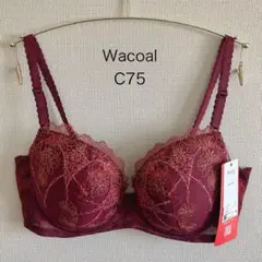 Item thumbnail for item a5322440-3158-4789-a413-5e99d9a521ae