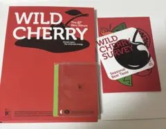 ICHILLIN'　WILD CHERRY