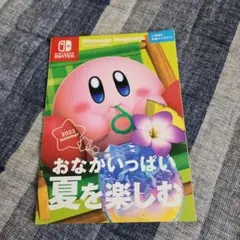 ニンテンドーマガジン2022