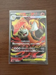 ポケモンカード　メガバクーダex SR