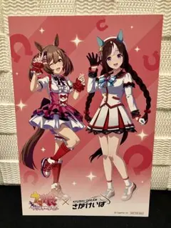 ホッコータルマエ スマートファルコン ポストカード