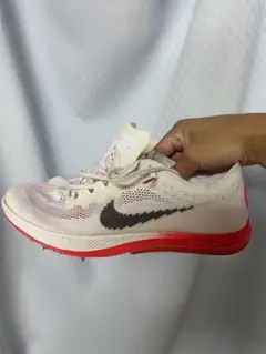 NIKE ドラゴンフライ　25cm