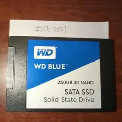 ① 250GB ウエスタンデジタル　WDC WDS250G2B0A-00SM50