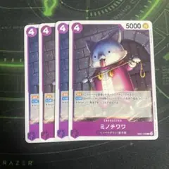 ミノチワワ 4枚セット
