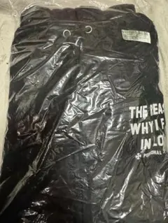 Item thumbnail for item e5da8102-38a6-4311-a037-8f1ed313ecf6